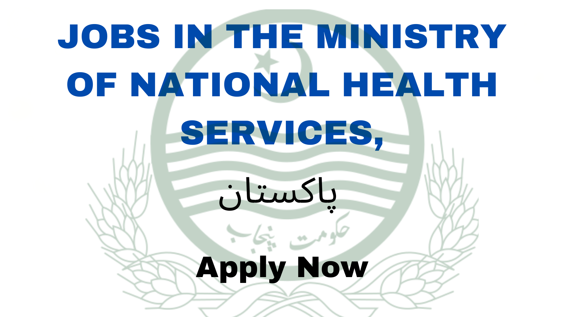 Jobs in the Ministry of National Health Services, Pakistan – Apply Now