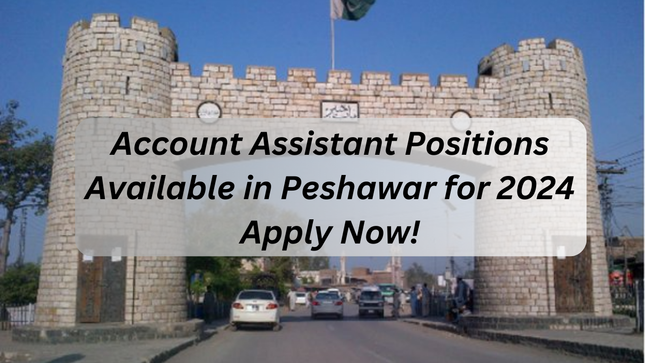 Account Assistant Positions Available in Peshawar for 2024 – Apply Now!