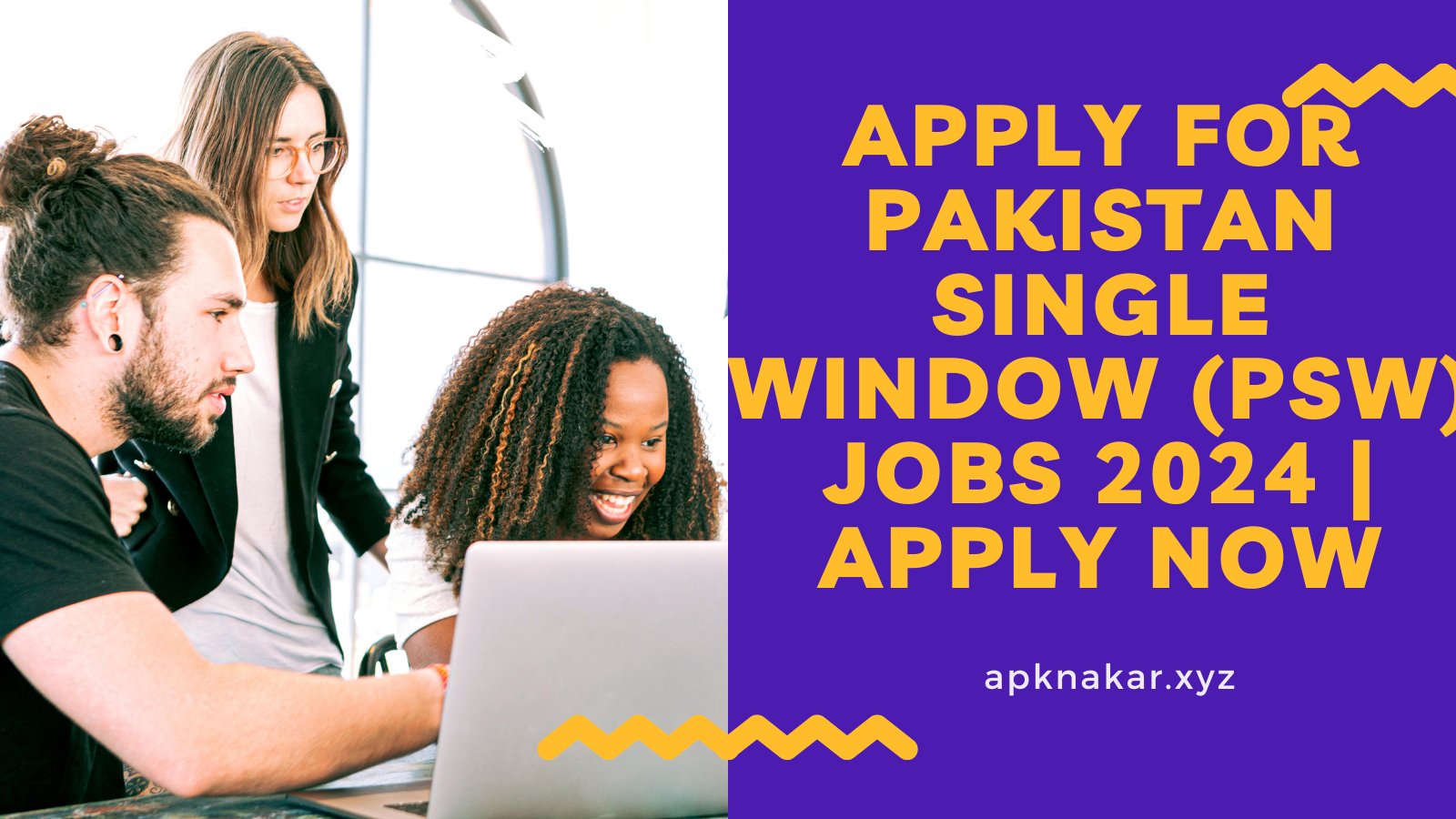 Apply for Pakistan Single Window (PSW) Jobs 2024 | Apply Now