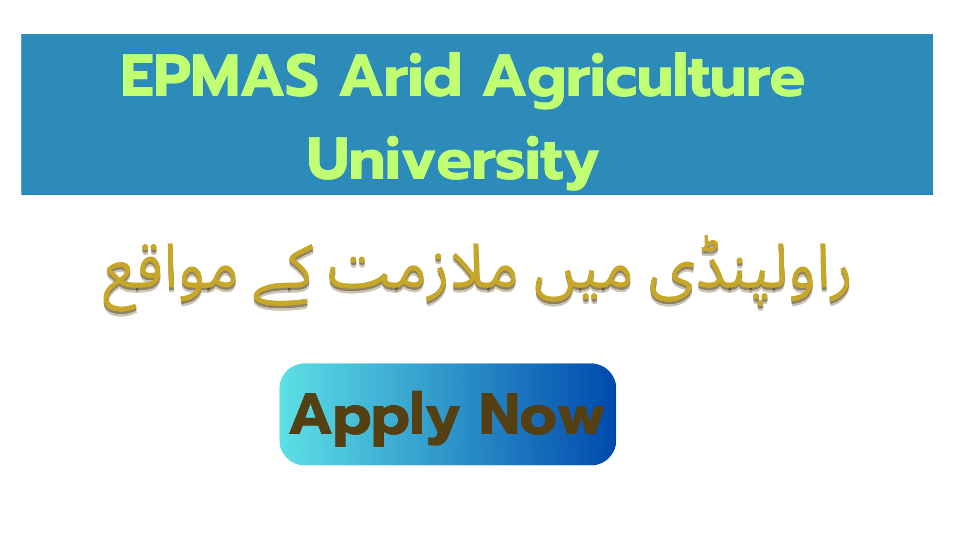 EPMAS Arid Agriculture University Rawalpindi Jobs Openings – Apply Now